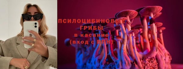 стафф Алексеевка